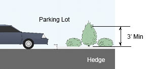 Drawing of a parking lot with perimeter Hedge landscaping 