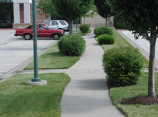 Photo of a landscaped median with trees, shrubs and walkway between parking blocks