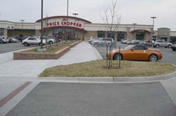 Photo of a landscaped median with trees, a planter and a walkway between parking blocks