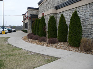 Photo of a commercial building with planting beds along a sidewalk 