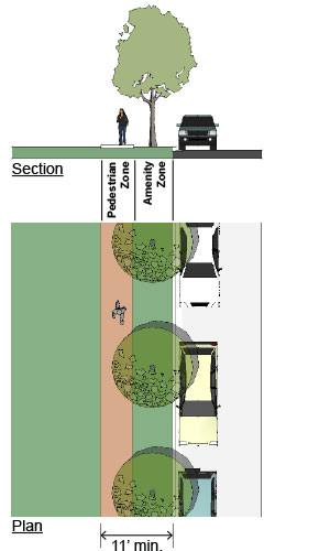 drawing of a pedestrian walkway with a treed amenity zone and street parking 