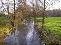 Photo of Significant River or Stream corridors landscape