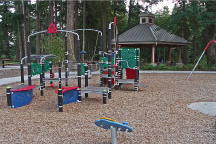 photo of play structure for children