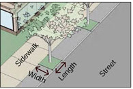 drawing of Tree well size and area 